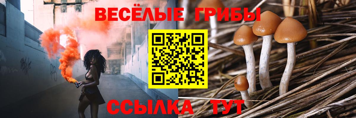 Галлюциногенные грибы прущие грибы Слободской